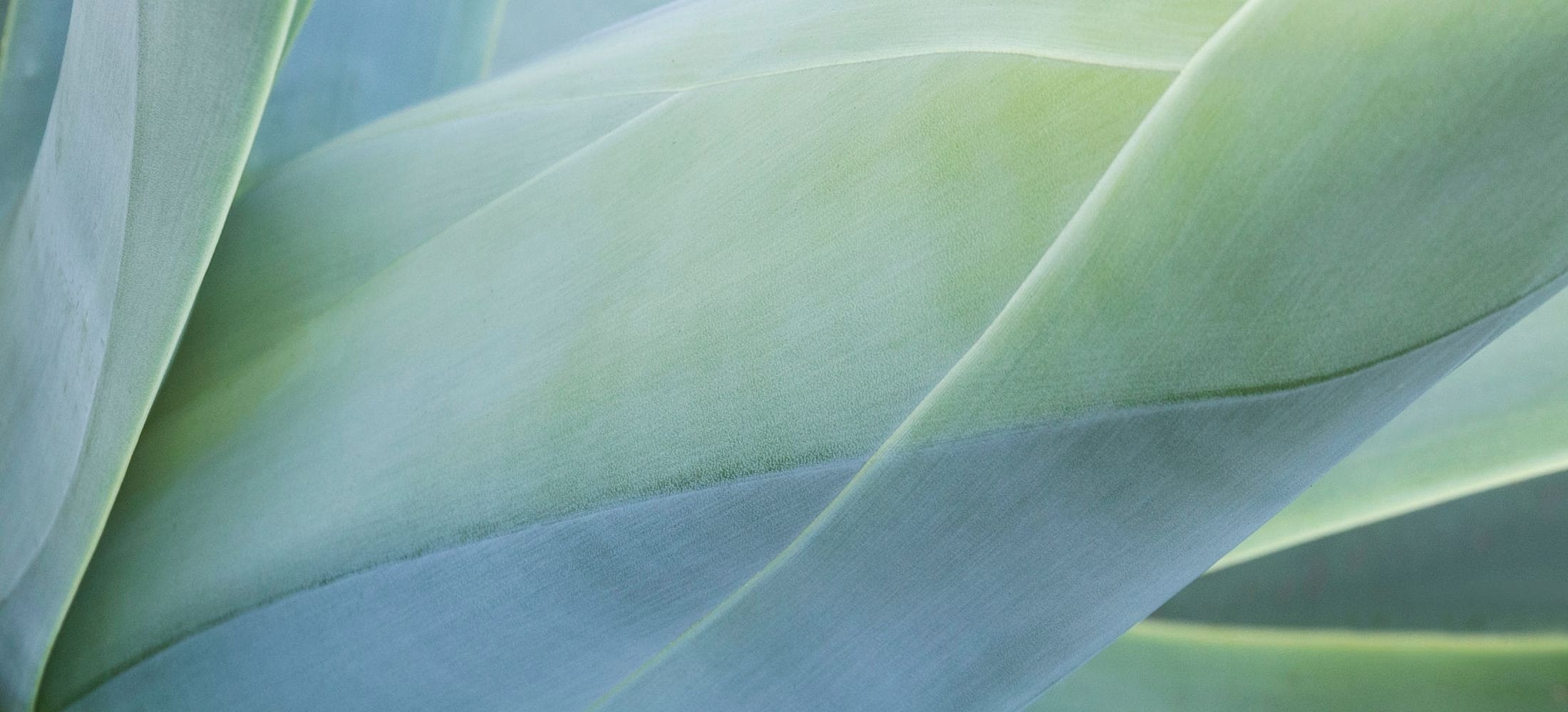 Smiling woman with long blonde hair in black top.